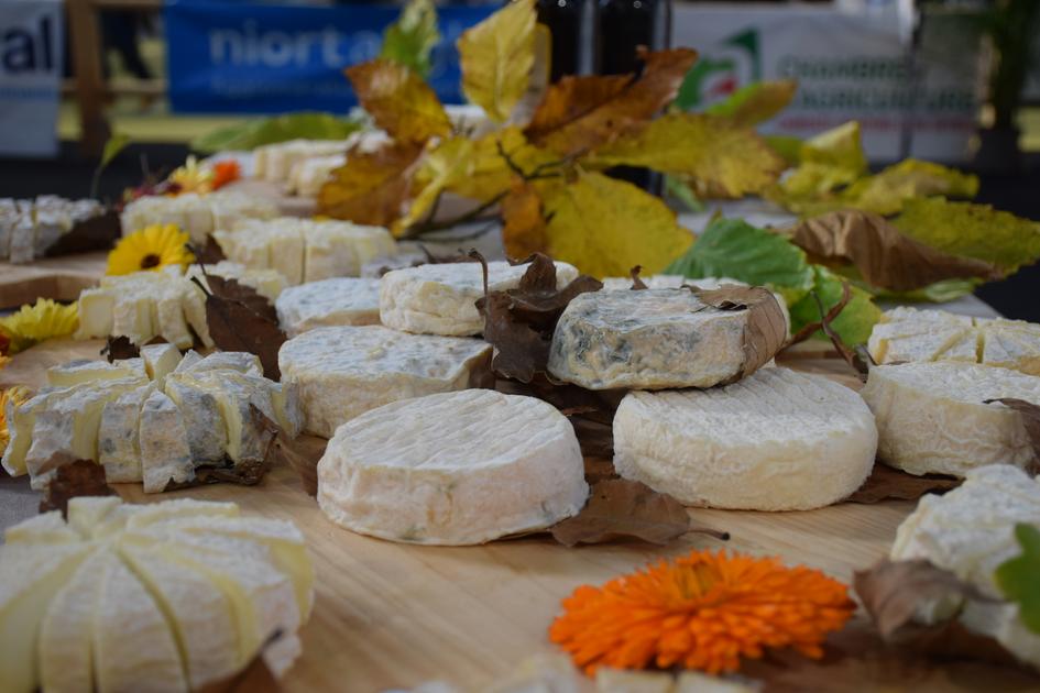 Mothais Sur Feuille Appellations En Vue Pour Le Fromage De Chèvre à La Feuille De Châtaigner 