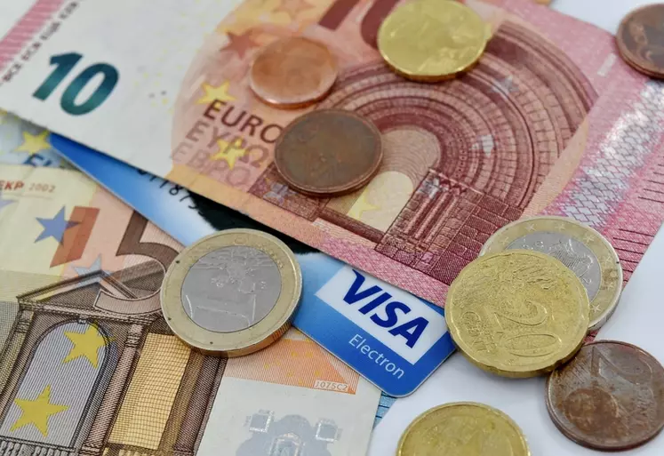 Les aides de l'Etat peuvent atteindre 1 500 euros et celles des régions 5 000 euros. © Pixnio