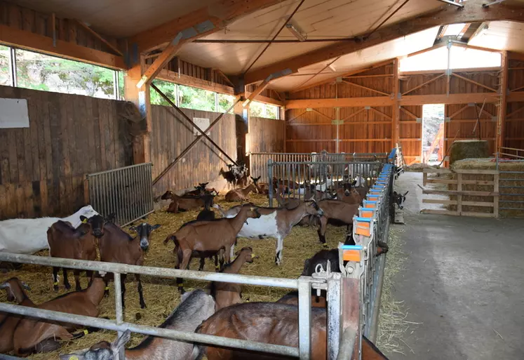Des bâtiments sains pour des chèvres en bonne santé
