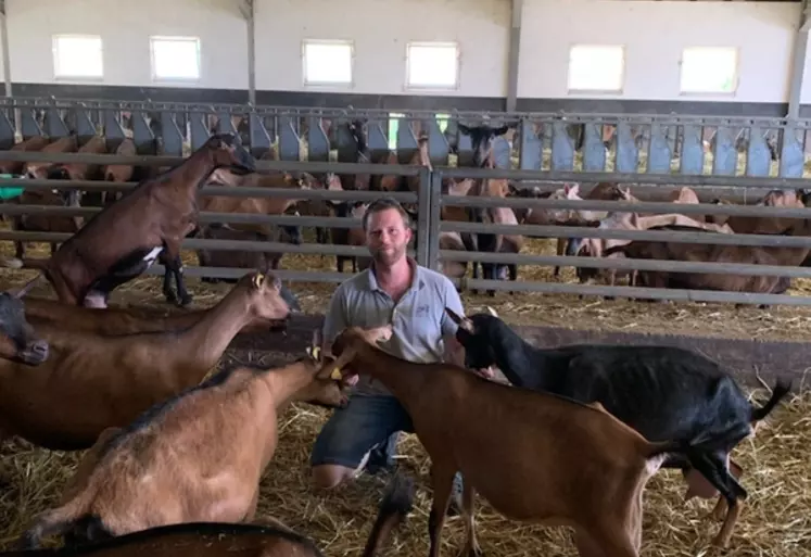Thomas Wirsum, éleveur à Nordheim (67) à la SCEA Le Cabri, 360 chèvres, fromager-fermier.