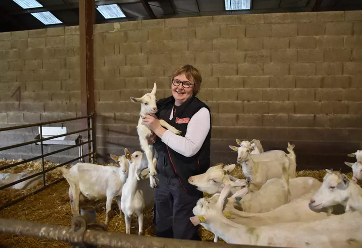 À Saurais dans les Deux-Sèvres, Nathalie Maudet élève un peu plus de 400 chèvres et 35 mères parthenaises sur 70 hectares.
