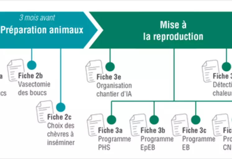 Que ce soit en saillie naturelle ou à l’IA, mais également pour les retours en saillie naturelle, plusieurs étapes sont essentielles pour une bonne réussite de la ...