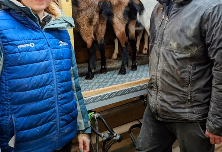 Lisa Sabourault et Dorian Folco, fromagers fermiers dans le Maine-et-Loire