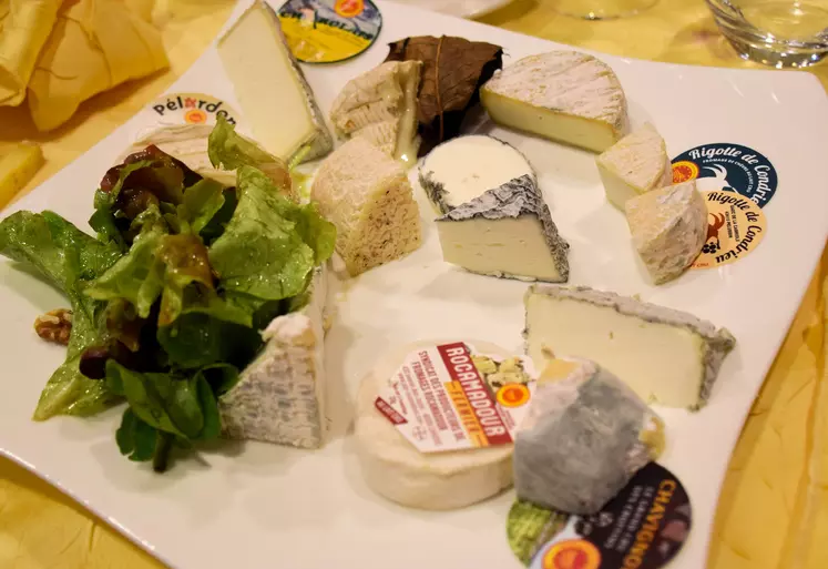 Assiette contenant les fromages de chèvre AOP