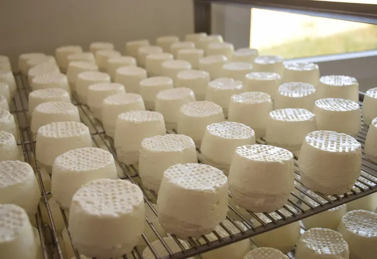 <em class="placeholder">Fromages de chèvre sur grille</em>