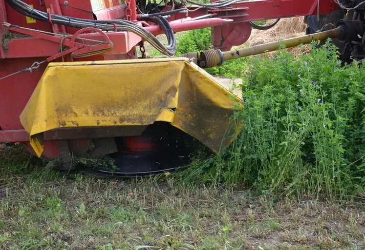 <em class="placeholder">Affouragement en vert</em>