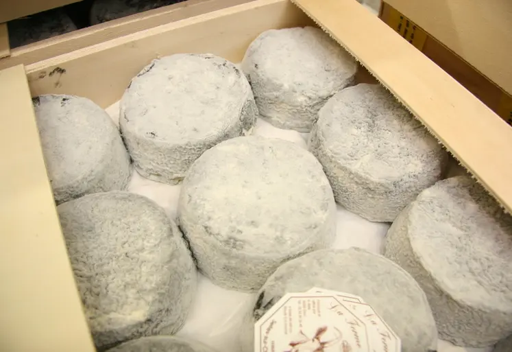 <em class="placeholder">Fromage fermier en caisse chez un grossiste</em>