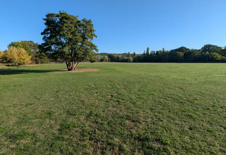 Prairie le 18 septembre 2025 en Essonne