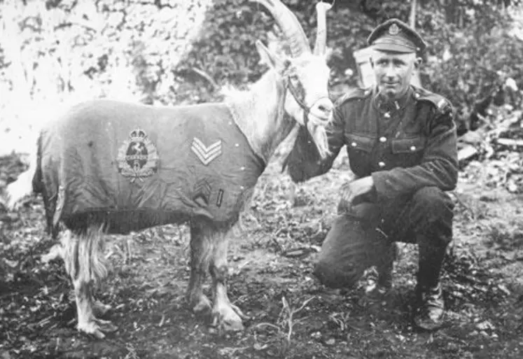 <em class="placeholder">Sergent Bill en uniforme</em>