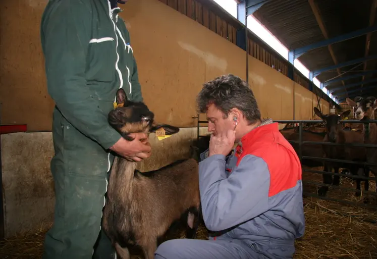 <em class="placeholder">Consultation d&#039;un vétérinaire chez un éleveur de chèvres</em>