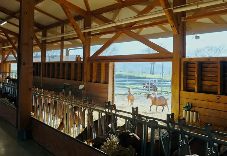 <em class="placeholder">Chèvrerie du Pradel en Ardèche</em>