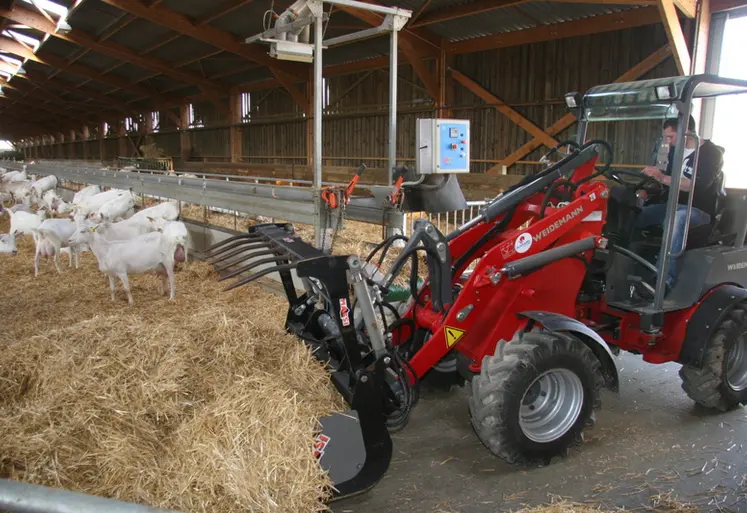 <em class="placeholder">Paillage des chèvres</em>