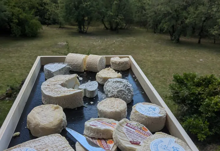 Fromages de chèvres et paysage du Lot