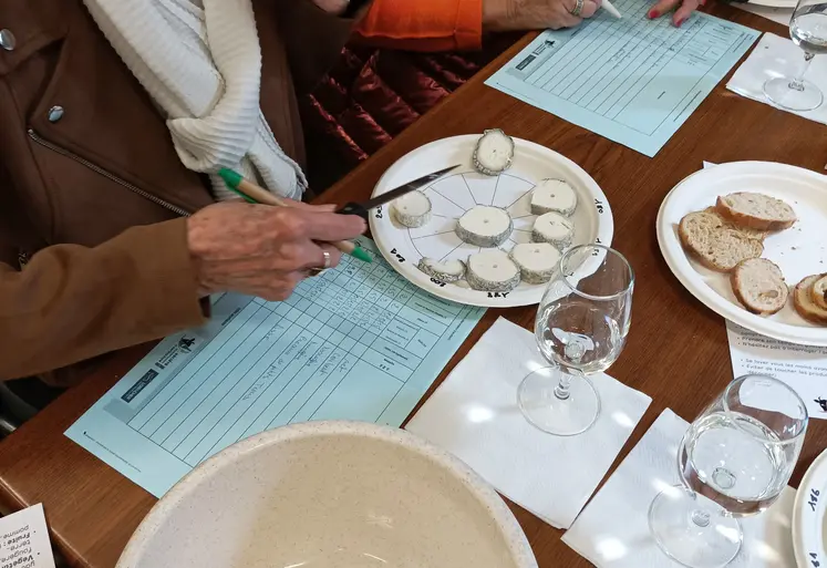 Table de jurés au concours de fromages au Centre-Val de Loire