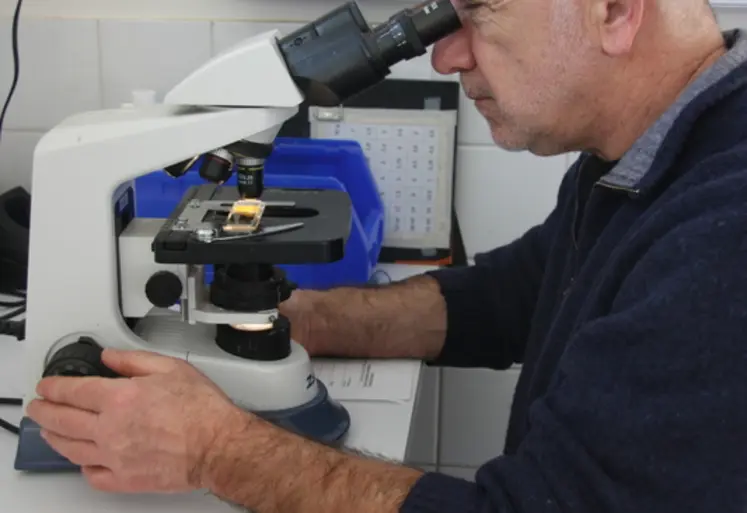 <em class="placeholder">Analyse coprologique par un vétérinaire</em>