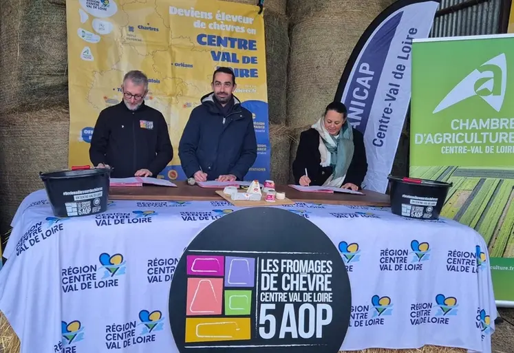 <em class="placeholder">Signature du Cap Filière caprin</em>