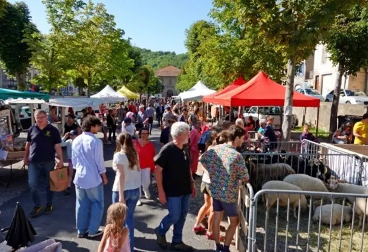 <em class="placeholder">Fête de la chèvre et de la brebis à Champeix (Puy-de-Dôme) </em>
