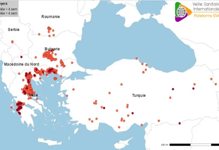 Localisation des foyers de clavelée en Grèce, Bulgarie, Macédoine du Nord, Roumanie, Serbie et Turquie depuis juillet 2025