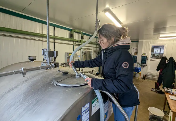 éleveuse de chèvres en train de rebrancher son tank à lait