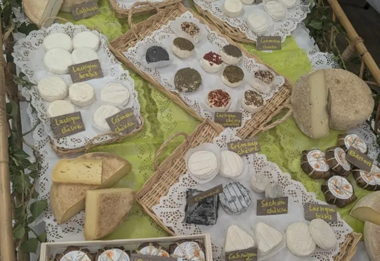 <em class="placeholder">Fromages au lait cru</em>