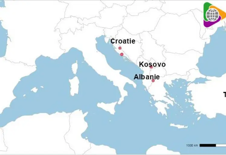 Carte avec foyers de PPR en Europe (épizootiques)et Turquie (enzootiques) depuis juillet 2025.