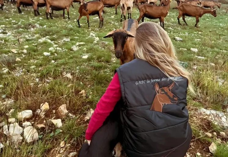 <em class="placeholder">Eleveuse portant une veste sans manche brodée devant un troupeau de chèvres</em>