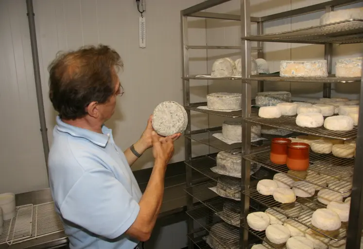 <em class="placeholder">En fromagerie fermière</em>