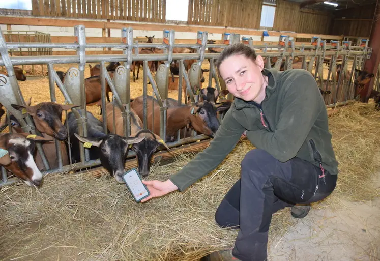 <em class="placeholder">Camille Planson présente l'application Ubiq devant ses chèvres</em>