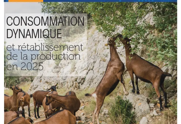 Dossier Annuel Caprins - Année 2025 - Perspectives 2026