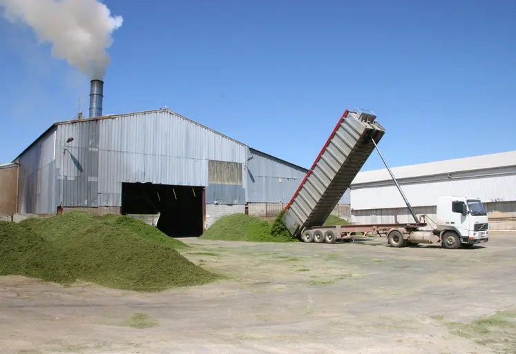 Usine de déshydratation de la luzerne