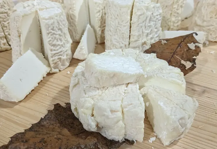 <em class="placeholder">chabichou du Poitou et le mothais sur feuille</em>