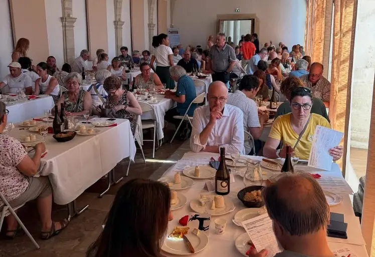 Dégustation des fromages