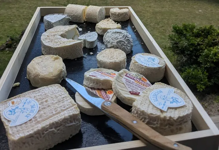 <em class="placeholder">différents fromages de chèvre sur un plateau.</em>