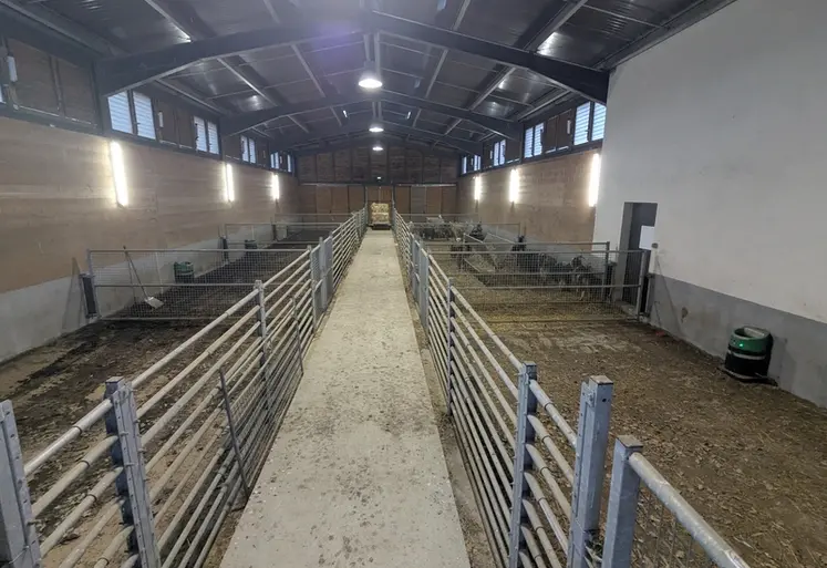 <em class="placeholder">Haras de bouc d'Altiani</em>
