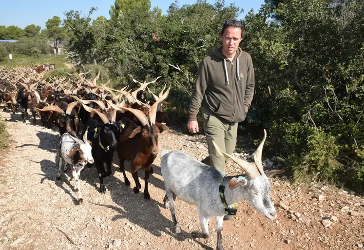 <em class="placeholder">Au milieu de la garrigue provençale, Jean-Pierre Hueso produit des fromages tout en maintenant vivants des paysages ouverts que les chèvres du Rove façonnent depuis des ...</em>