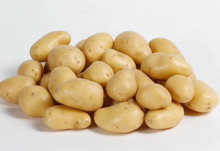 <em class="placeholder">Pomme de terre de variété Jazzy d'origine France. pommes de terre à chair ferme. légume. légumes.</em>