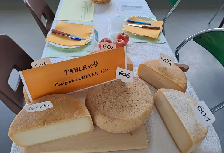 tommes de chèvre