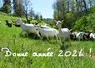 Chèvre Saanen en Ardèche et inscription bonne année 2024