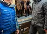 Lisa Sabourault et Dorian Folco, fromagers fermiers dans le Maine-et-Loire