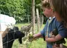 Enfant et chèvre