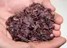 <em class="placeholder">Marc de raisin</em>