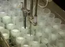 <em class="placeholder">Analyse de lait</em>