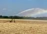 <em class="placeholder">En période de sécheresse, irrigation pour favoriser la levée d&#039;un maïs semé tardivement
</em>