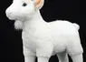 <em class="placeholder">Chèvre en peluche </em>