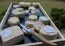 <em class="placeholder">différents fromages de chèvre sur un plateau.</em>