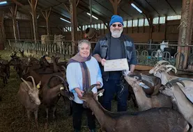 <em class="placeholder">Nathalie et Laurent Masbou au milieu du troupeau de chèvre
</em>