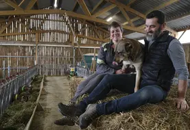 28 800 euros, c’est en moyenne le revenu annuel disponible des élevages caprins laitiers et fromagers en suivi Inosys.