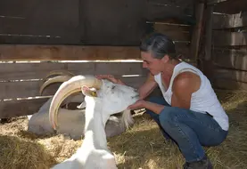 <em class="placeholder">une éleveuse et sa chèvre</em>