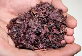 <em class="placeholder">Marc de raisin</em>