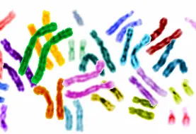 <em class="placeholder">Génome</em>